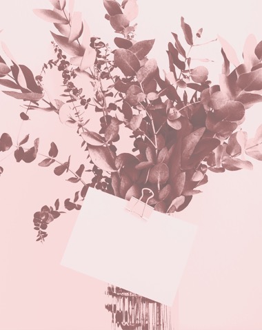 Bitmap